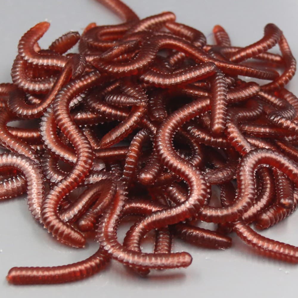 50 PCS Fishing Accessories Artificial Bait Worms Simulation Lures - Image 7