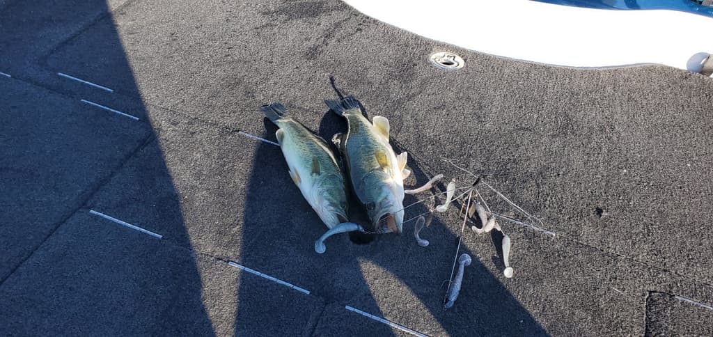 Mega Baitball - Premium Hardware - Alabama Umbrella Rig - BAITS NOT INCLUDED - Image 4