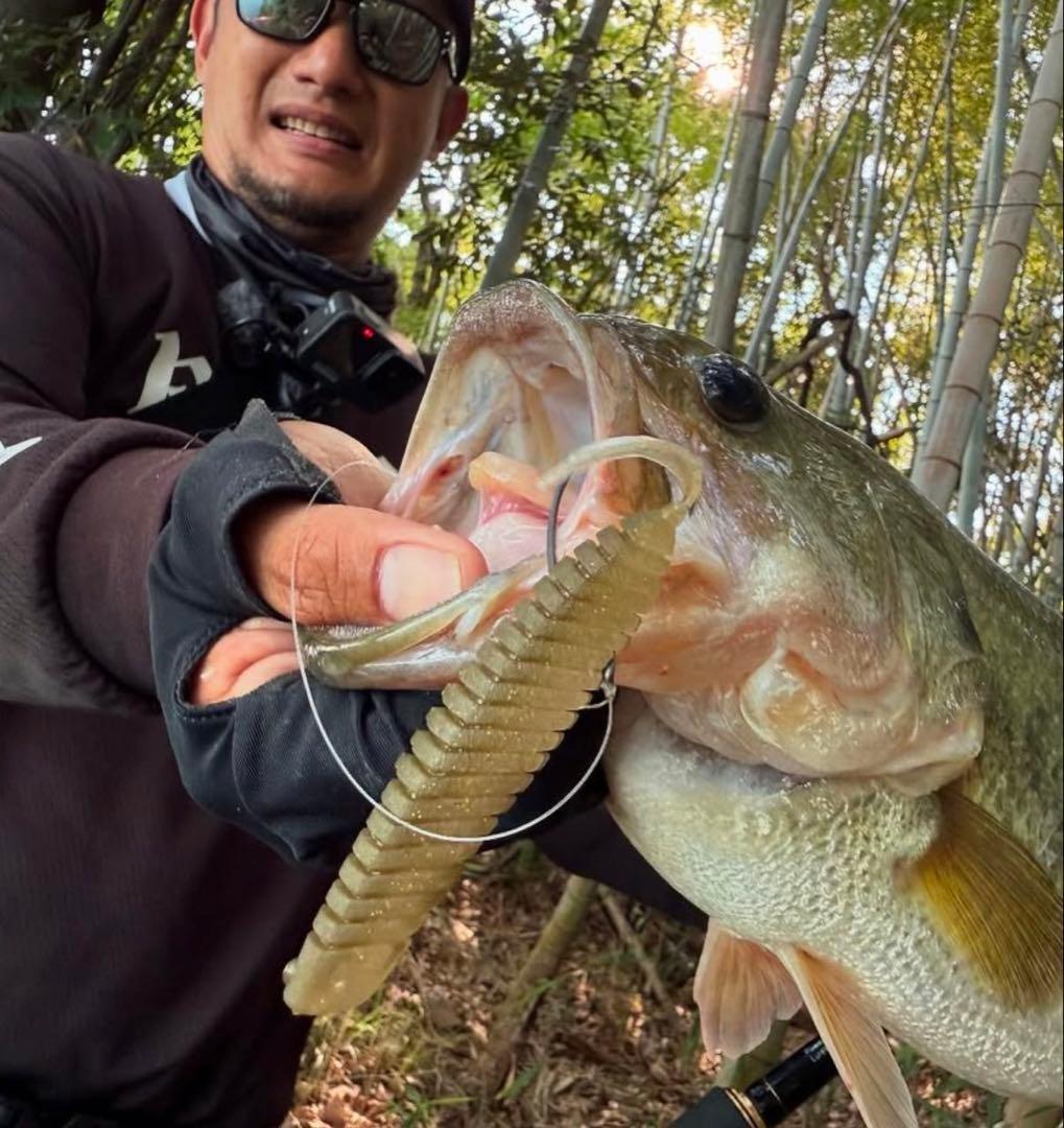 Raid Japan Kanamo Gold Swimbait Stain for Bass - Used - Image 2