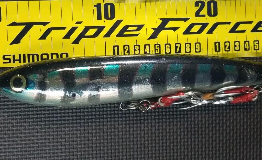 Carpenter GT Gamma 160ft fishing line, 192g, 25cm, hooks, used, with scratches - Image 1