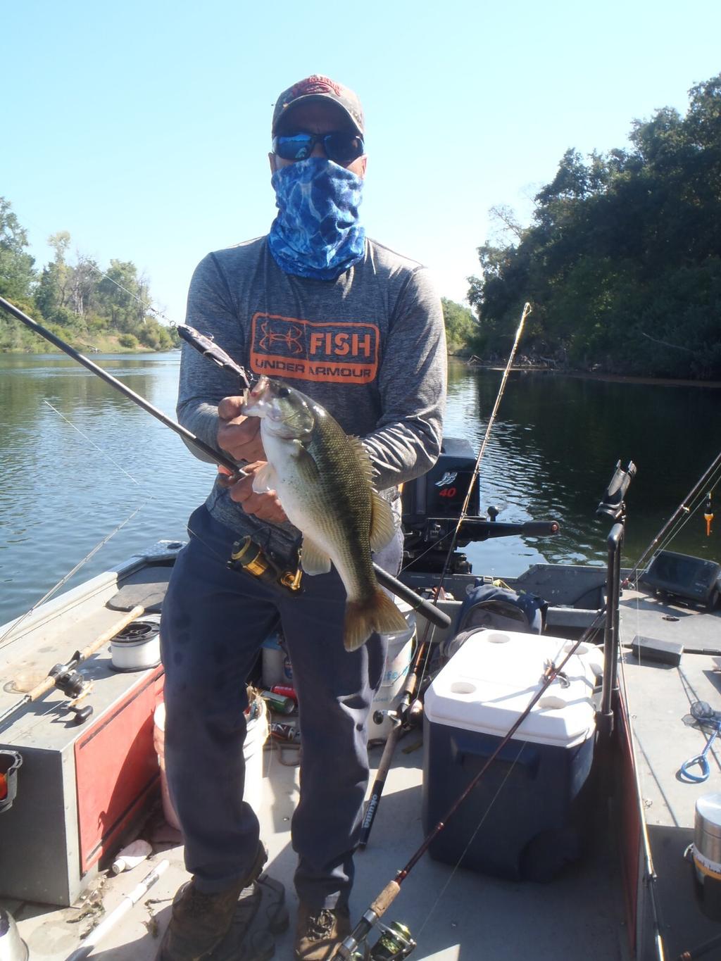 Swimbait sale auction 10 swimbaits  Striper swimbait fishing Glide Bait bass - Image 11