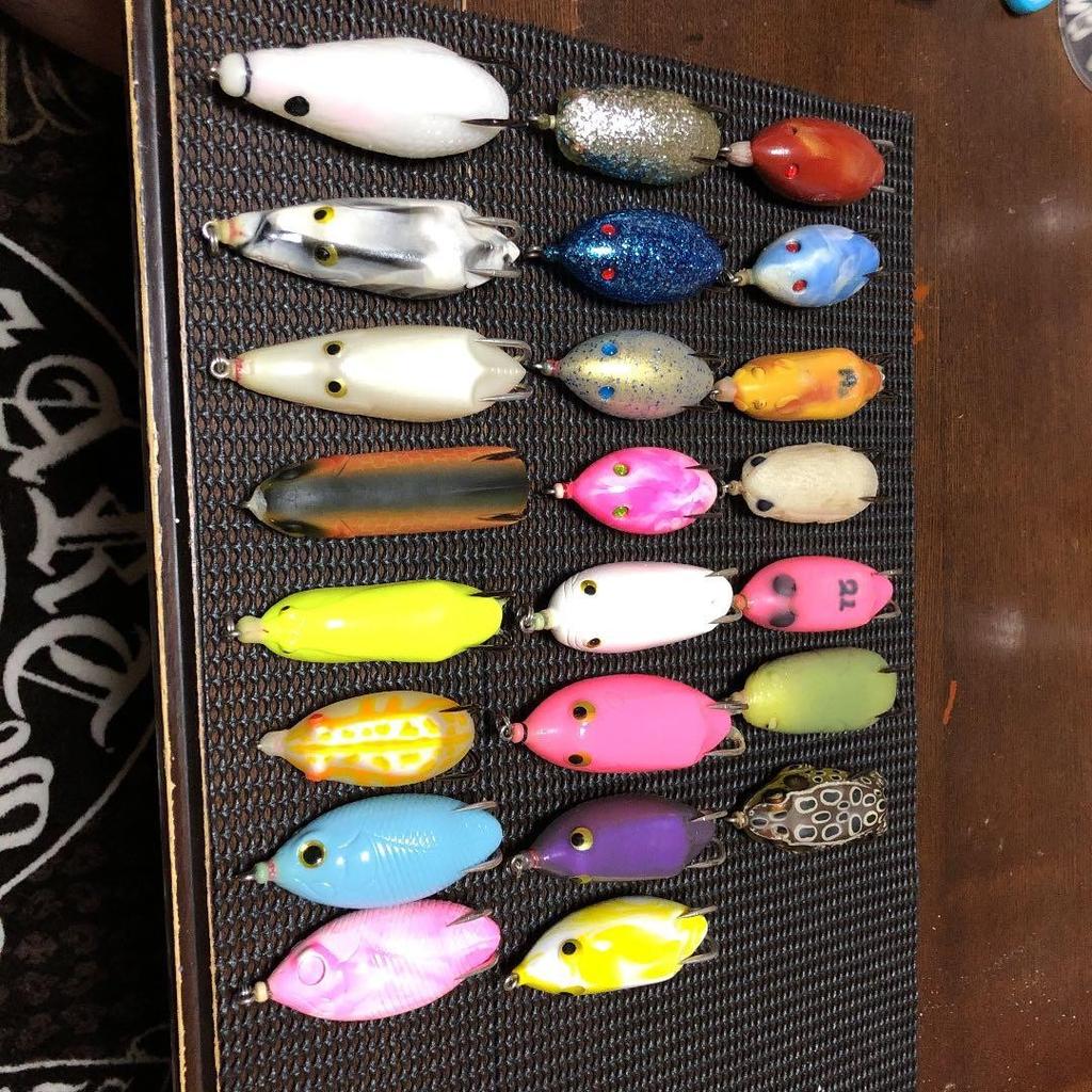 Snakehead frog - Image 1