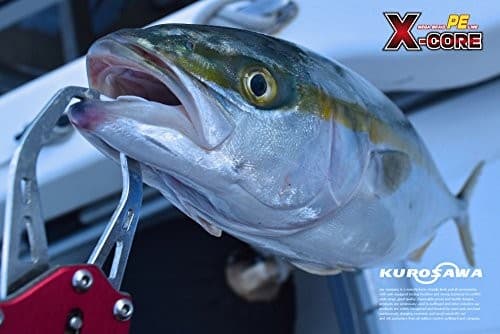 NEW KUROSAWA PE Fishing Line X-CORE multicolor 500m 8 strands No.14 132lb/59.8kg - Image 4