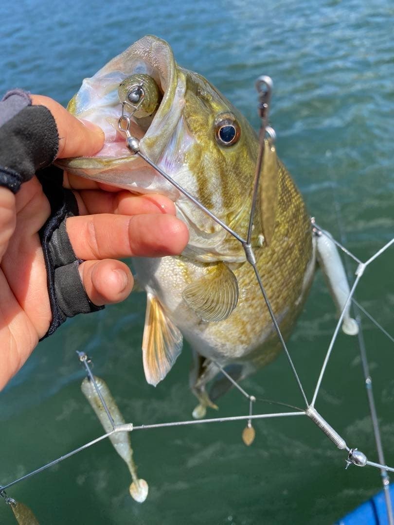 Alabama Rig Set with Suruslip and Zerklock Stealth 5 - Used, Lure Fishing - Image 7