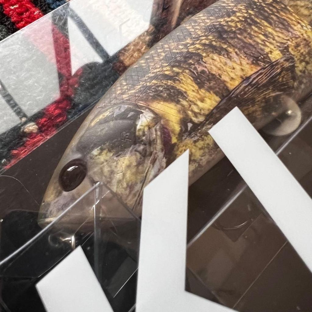 DRT KLASH9 Low DRT TIGER Swimbait for Freshwater & Saltwater Fishing - Image 2