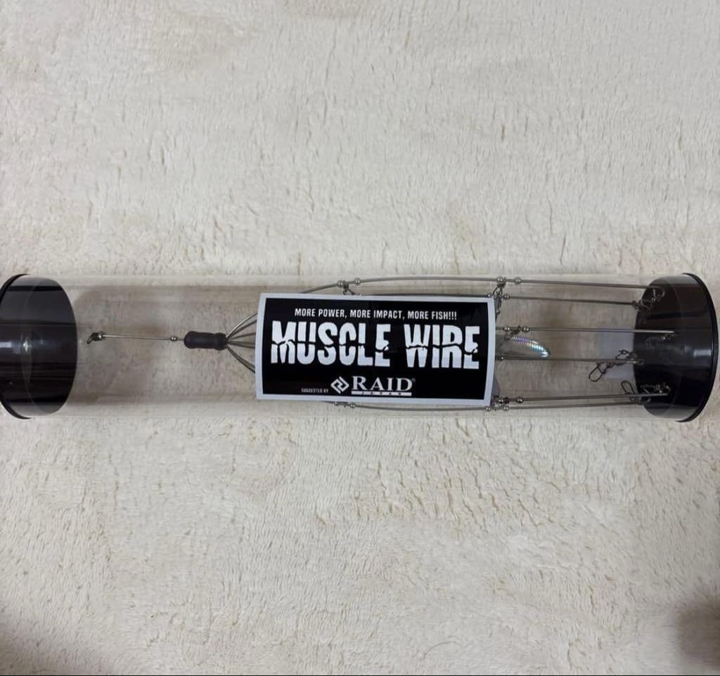 RAID MUSCLE WIRE Full Fish Holo Fishing Accessories - Image 1