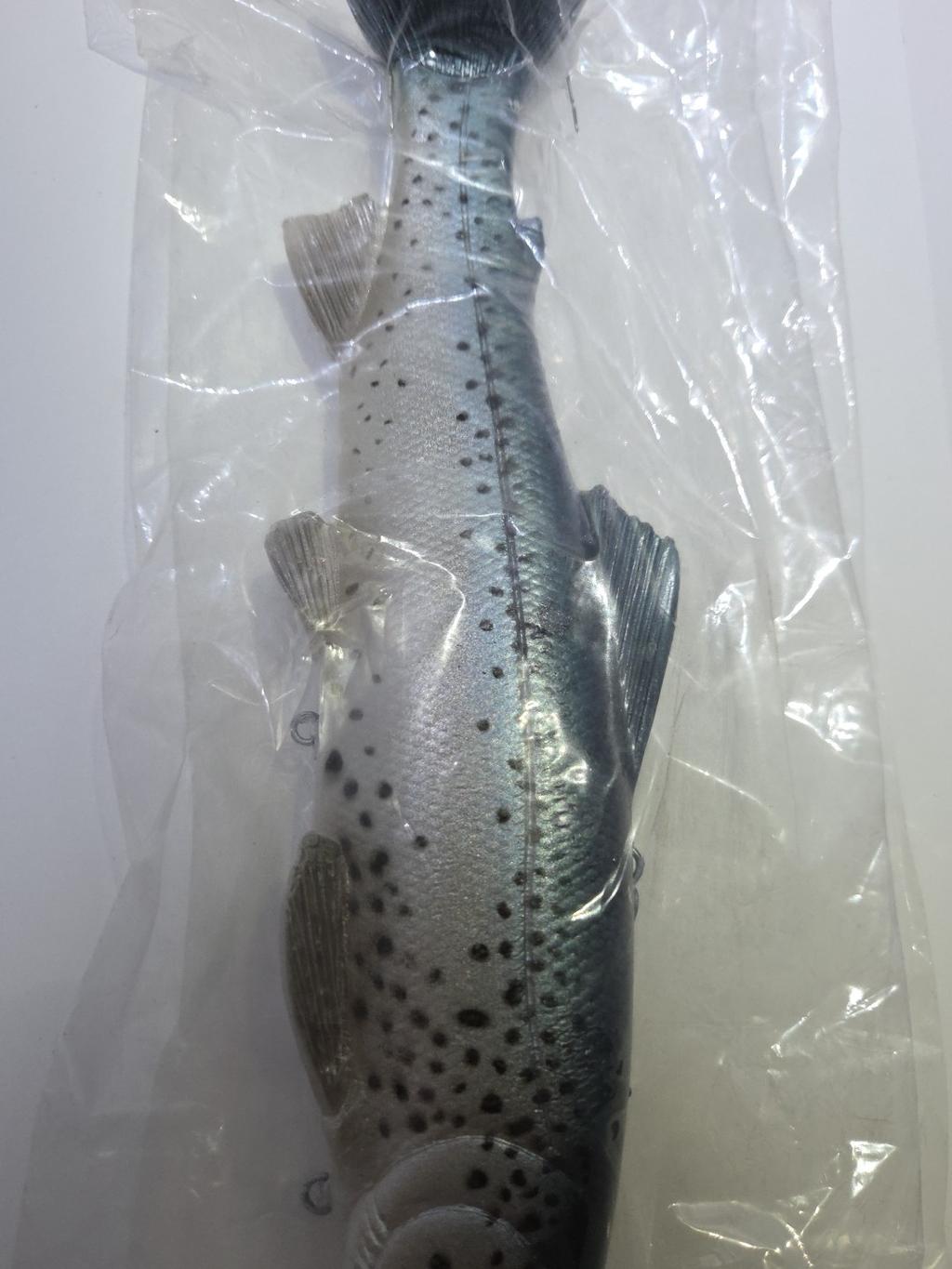 Working Class Zero RARE 11” Battles trout discontinued Swimbait By WCZ - Image 7