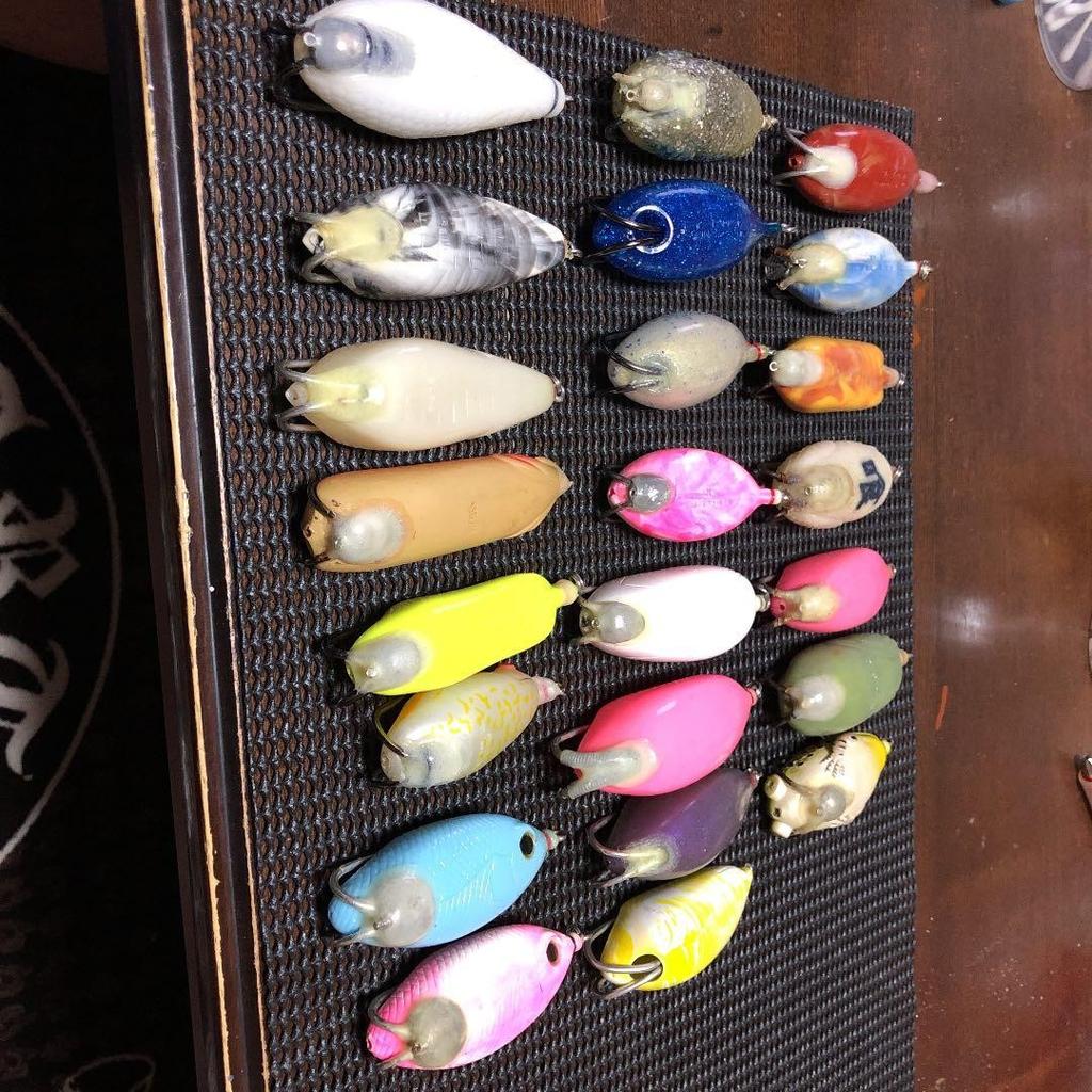 Snakehead frog - Image 4