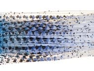 Lure Parts Online Bass Academy Diamond Print Skirts 10p - Image 3