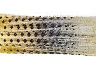 Lure Parts Online Bass Academy Diamond Print Skirts 10p - Image 6