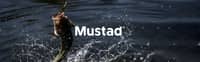 Mustad avatar