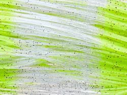 Skirts Unlimited Finesse Series Skirts 10pk - Thumbnail 19