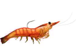 LIVETARGET Rigged Shrimp 4pk - Thumbnail 4