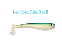 Perfect Head 5.5 - NEW COLOR