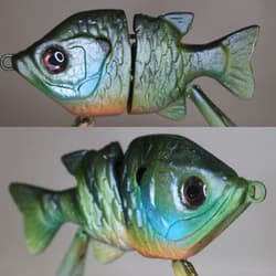 HC gill in bluegill 