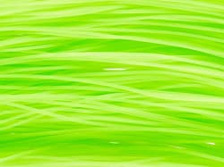 Skirts Unlimited Finesse Series Skirts 10pk - Thumbnail 12