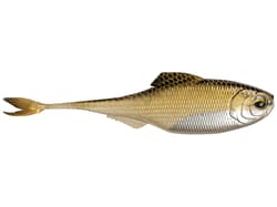 6th Sense Masterclass Fiction Shad - Thumbnail 3