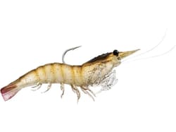LIVETARGET Rigged Shrimp 4pk - Thumbnail 1