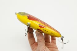 Junior Ymir glide  (color: parrot)