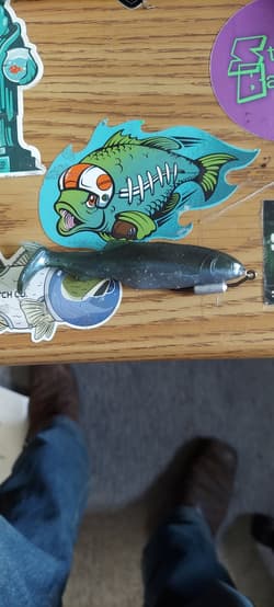 Owner weighted  twistlock swimhook