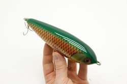 Junior Ymir glide  (color: parrot)