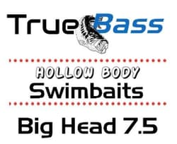 Big Head 7.5