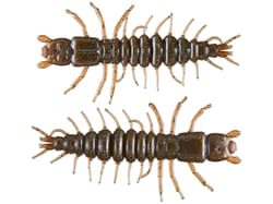 Nikko Fishing Zaza Hellgrammite - Thumbnail 9