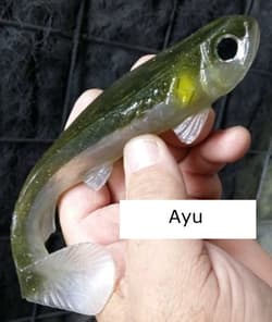 Thumbnail