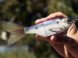 KGB Swimbaits Chad Shad Glide Bait - Thumbnail 2