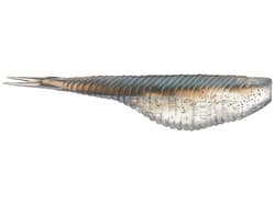 Damiki Fat Armor Shad - Thumbnail 1