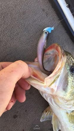 True Lock Swimbait Heads