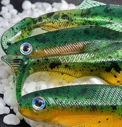 4.1" prey w/ hs colorway: gummy tiger