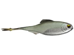 6th Sense Masterclass Fiction Shad - Thumbnail 7