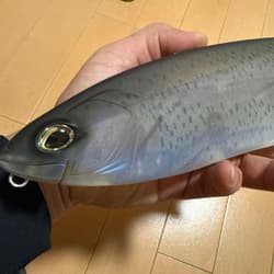 DRT USA Crash Frenzy Phantom (DRT US) - Thumbnail 4