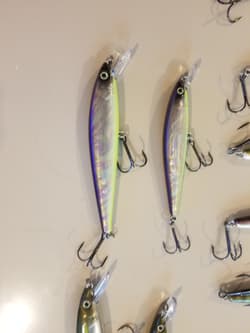 Jerkbait Bundle - Awesome Pack of Strike King KVD Jerkbaits - Great Colors! - Thumbnail 2