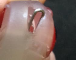 SHADS,Chesapeake Bay Lures, Shad, Swim Bait (5) Umbrella Rig,Striper Lure,Blues - Thumbnail 3