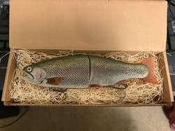 Hinkle Trout Swimbait Painted by Andrew Hinkle No dot Rainbow Matte  - Thumbnail 1