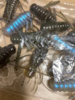 Bass fishing worm 6-piece setBerkley, Reins, Gary Yamamoto, Boares - Thumbnail 8