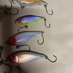 Giant Bundle of 55 Rapala X-Rap Jerkbaits - Top water Awesome Colors and Sizes! - Thumbnail 15