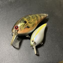 Strike King KVD 8.0 KVD 1.5 Set - Thumbnail 1