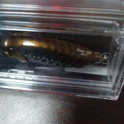 POPMAX lure Megabass - Thumbnail 4