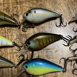 Lot Of 18 Squarebill Crankbaits Xcite Strike King Ark Unbranded No Combined Ship - Thumbnail 5