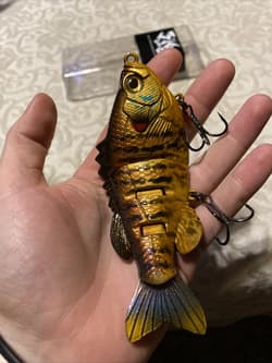 3:16 Lure Company 5” Freestyle Bluegill Swimbait-Floating BaitWorks Custom Color - Thumbnail 2
