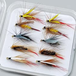 10Pcs Fly Fishing Wet Fly Assorted with Storage Box Fishing Accessories - Thumbnail 7