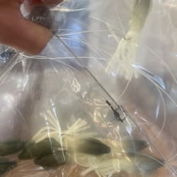 9” Umbrella Rig 4 Arm 11” With 5.5” Squid (9)  8/0 Mustad New Pkg Gray Glow New - Thumbnail 12