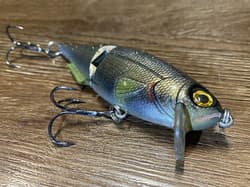 (2) Custom Painted Strike King- King Shad - Thumbnail 4