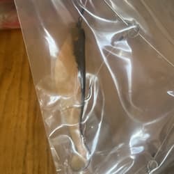 9” Umbrella Rig 4 Arm 11” With 6” Shad (9)  Pearl Black 8/0 Hook Mustad New Pkg - Thumbnail 3