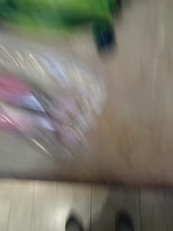 55+ Shad Paddle Tail Swimbaits great Umbrella Rig 6 Count Bag Pearl Green 6"+9" - Thumbnail 4