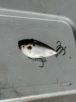 Googan Squad, River2Sea & Strike King Fishing Lure FOR BASS Box Lot (25+ baits) - Thumbnail 5