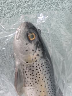 Working Class Zero RARE 11” Battles trout discontinued Swimbait By WCZ - Thumbnail 4